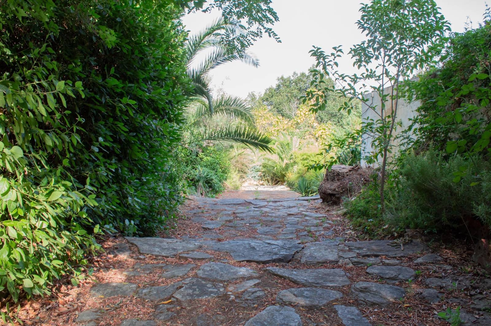 6 soveværelse Finca/Landehus til salg i Plasencia med swimmingpool garage - € 1.350.000 (Ref: 9194688)