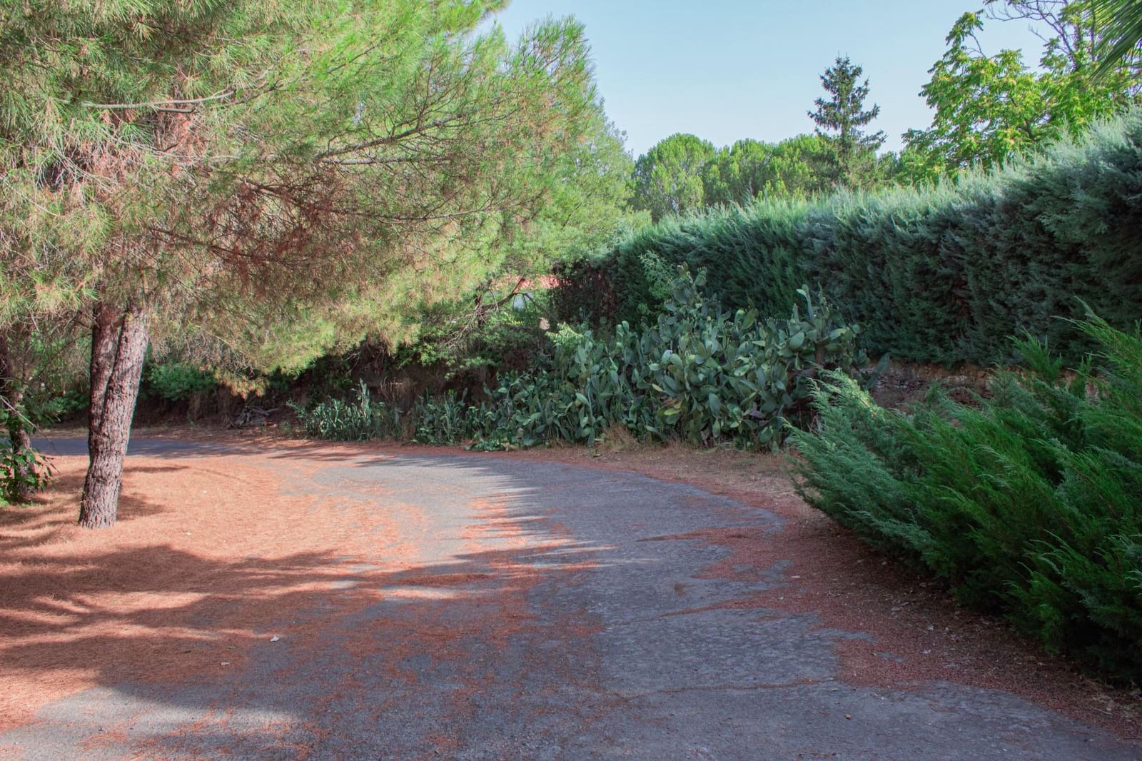 6 soveværelse Finca/Landehus til salg i Plasencia med swimmingpool garage - € 1.350.000 (Ref: 9194688)