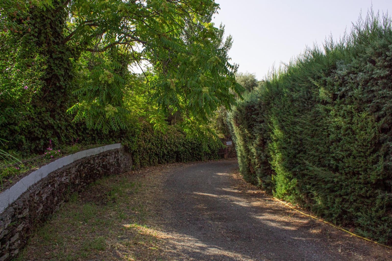 6 soveværelse Finca/Landehus til salg i Plasencia med swimmingpool garage - € 1.350.000 (Ref: 9194688)