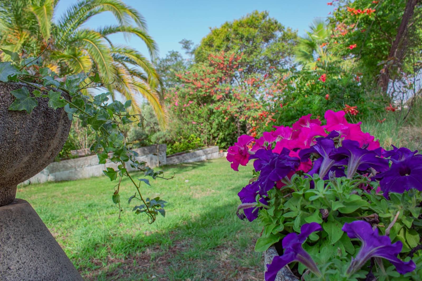 6 soveværelse Finca/Landehus til salg i Plasencia med swimmingpool garage - € 1.350.000 (Ref: 9194688)