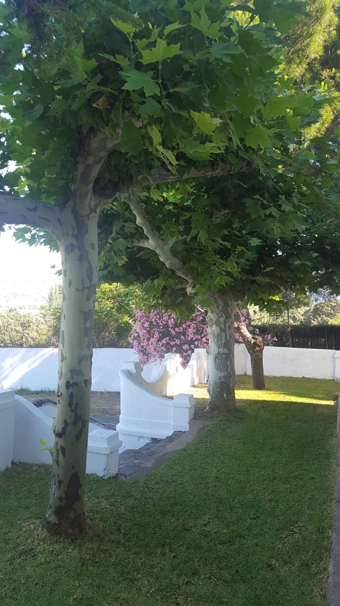 6 soveværelse Finca/Landehus til salg i Plasencia med swimmingpool garage - € 1.350.000 (Ref: 9194688)