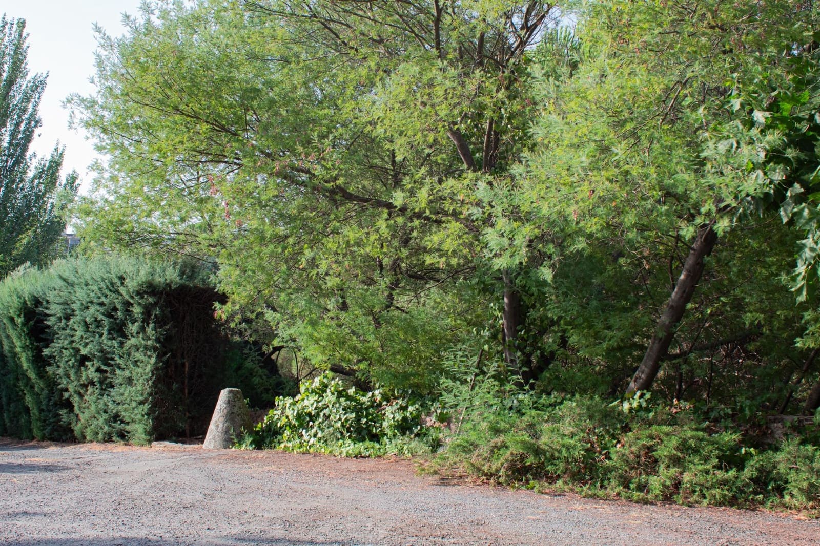 6 soveværelse Finca/Landehus til salg i Plasencia med swimmingpool garage - € 1.350.000 (Ref: 9194688)