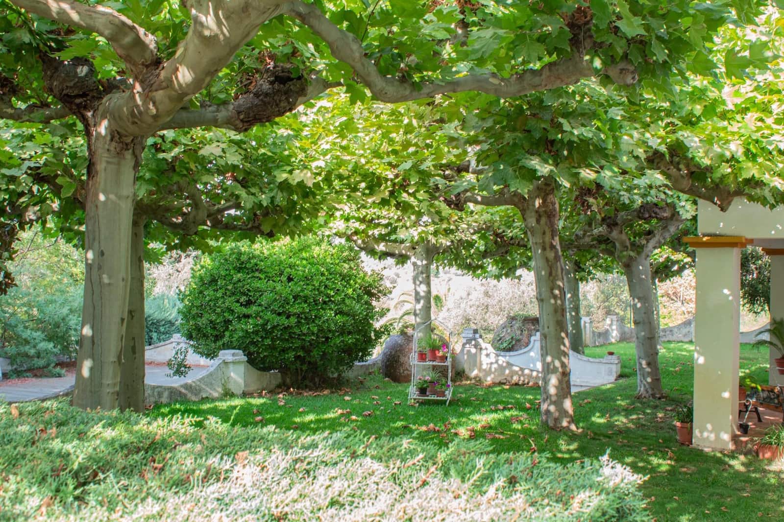 6 soveværelse Finca/Landehus til salg i Plasencia med swimmingpool garage - € 1.350.000 (Ref: 9194688)