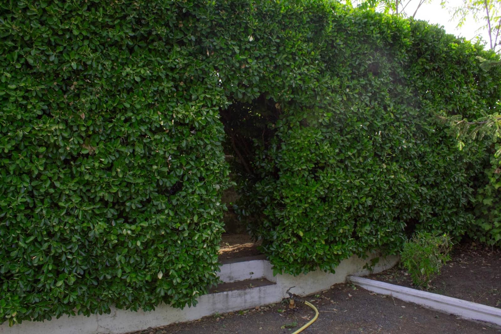 6 soveværelse Finca/Landehus til salg i Plasencia med swimmingpool garage - € 1.350.000 (Ref: 9194688)