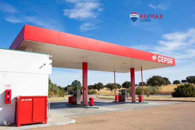 Business for sale in Dehesilla de Calamón - Campomanes, Badajoz city - € 675,000 (Ref: 9197728)