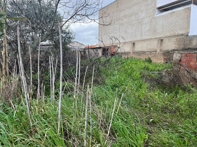 4 Zimmer Finca/Landgut zu verkaufen in La Albuera mit Garage - 199.000 € (Ref: 9262596)