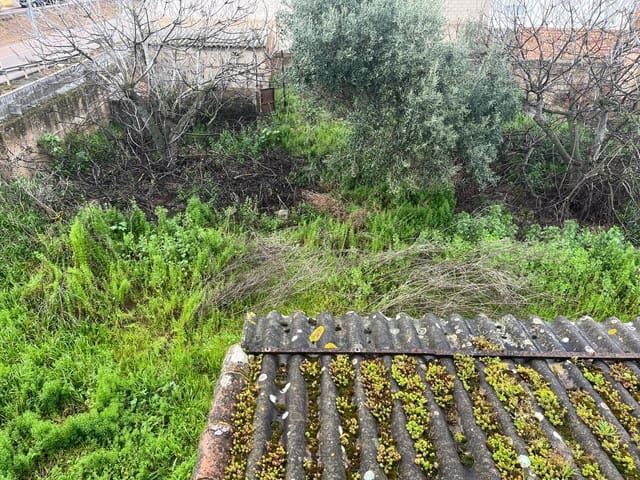 4 Zimmer Finca/Landgut zu verkaufen in La Albuera mit Garage - 199.000 € (Ref: 9262596)