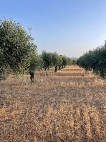 4 bedroom Finca/Country House for sale in Mérida with garage - € 310,000 (Ref: 9330643)