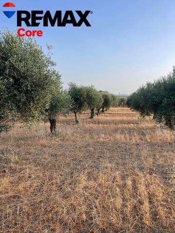 4 chambre Finca/Maison de Campagne à vendre à Mérida avec garage - 295 000 € (Ref: 9330643)