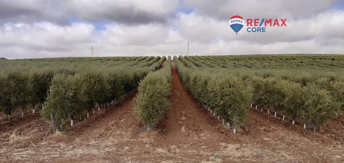 Grunde uden byggetilladelser til salg i Alange - € 339.900 (Ref: 9376772)