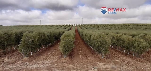 Mark till salu i Alange - 339 900 € (Ref: 9376772)