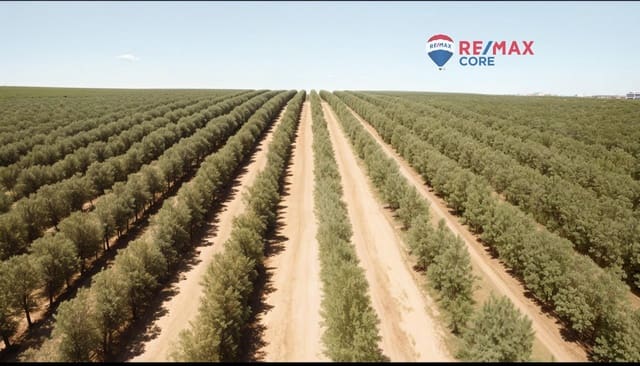 Mark till salu i Alange - 339 900 € (Ref: 9376772)