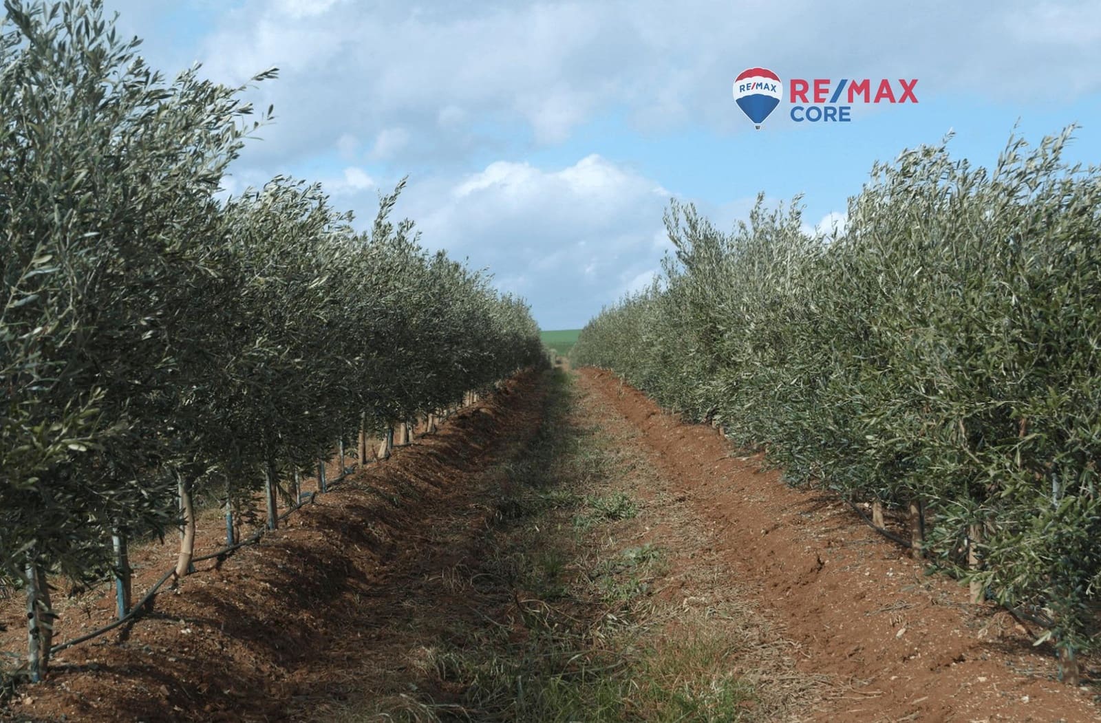 Grunde uden byggetilladelser til salg i Alange - € 339.900 (Ref: 9376772)