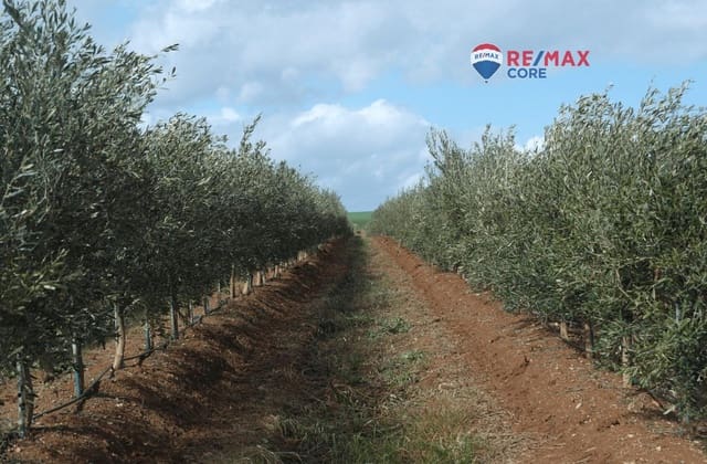 Mark till salu i Alange - 339 900 € (Ref: 9376772)