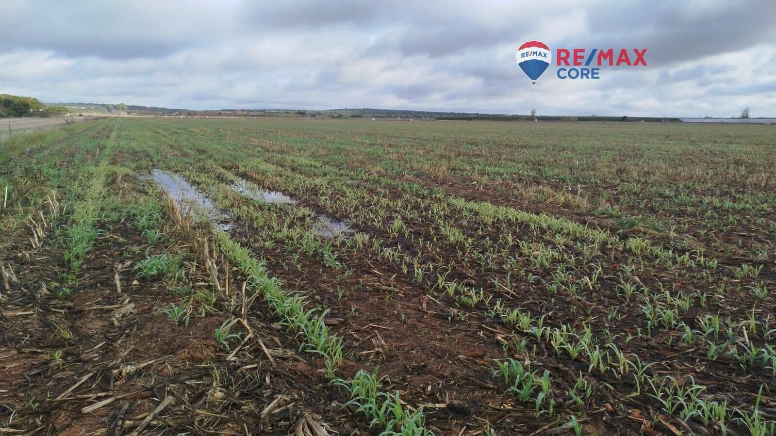 Terreno Non Edificato in vendita in Merida - 1.098.000 € (Rif: 9393931)