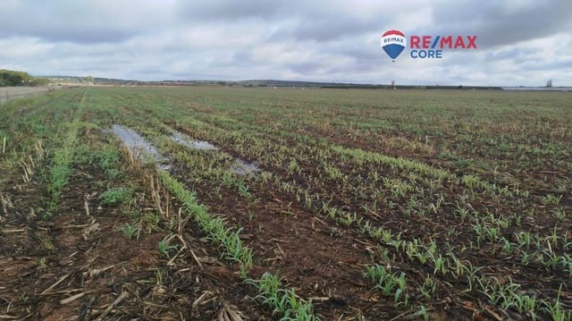 Undeveloped Land for sale in Mérida - € 1,098,000 (Ref: 9393931)