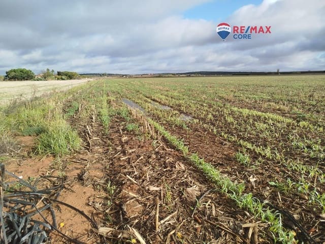 Undeveloped Land for sale in Mérida - € 1,098,000 (Ref: 9393931)