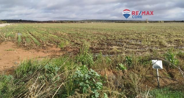 Undeveloped Land for sale in Mérida - € 1,098,000 (Ref: 9393931)