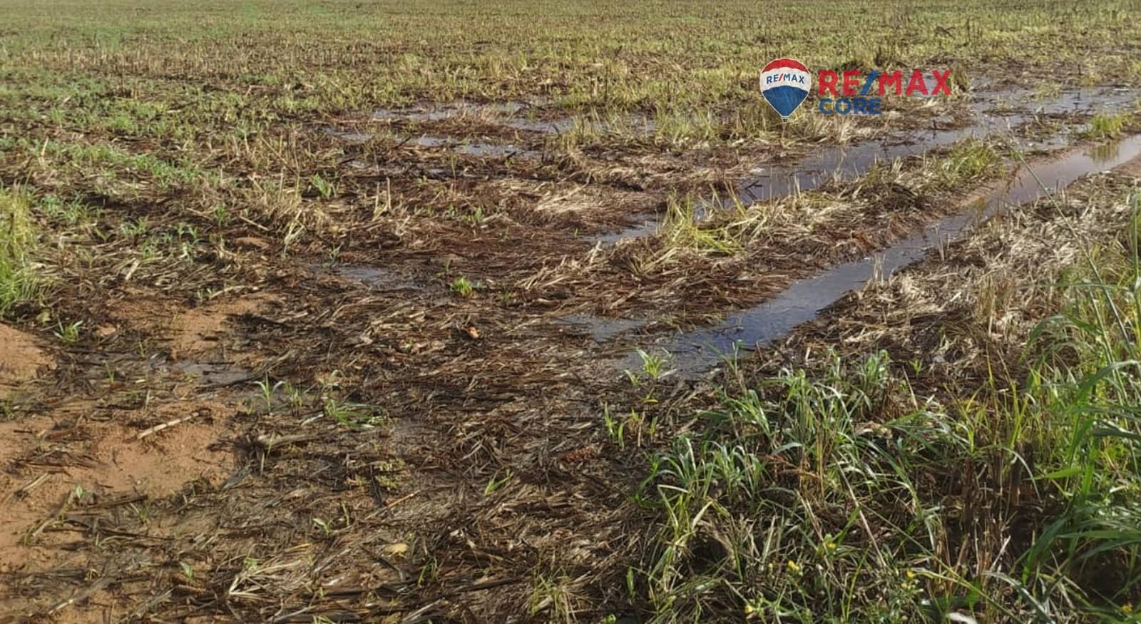 Terreno Non Edificato in vendita in Merida - 1.098.000 € (Rif: 9393931)