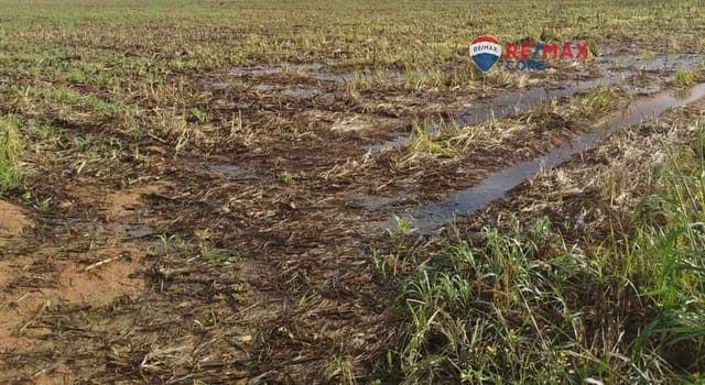 Undeveloped Land for sale in Mérida - € 1,098,000 (Ref: 9393931)