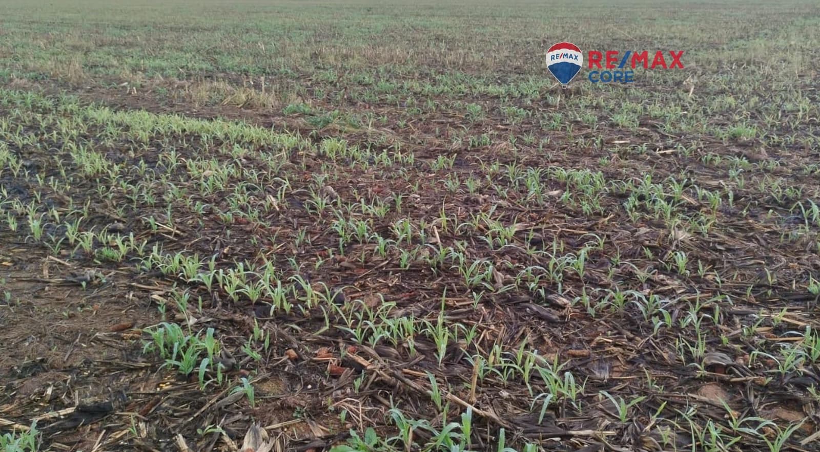 Terreno Non Edificato in vendita in Merida - 1.098.000 € (Rif: 9393931)