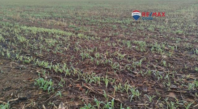 Undeveloped Land for sale in Mérida - € 1,098,000 (Ref: 9393931)