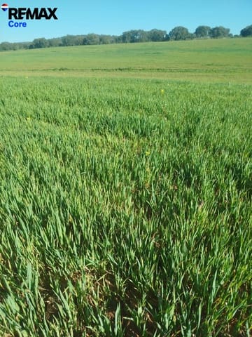 Ubebygd land til salgs i Mérida - € 1 098 000 (Ref: 9393931)