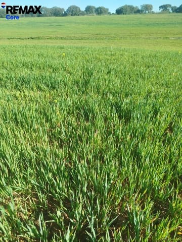 Ubebygd land til salgs i Mérida - € 1 098 000 (Ref: 9393931)