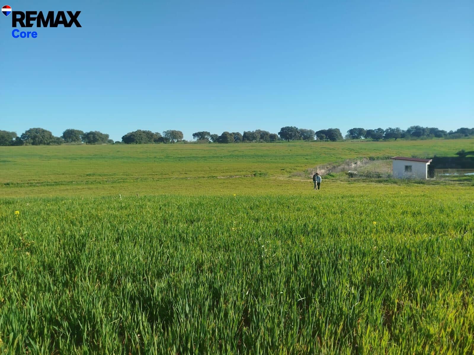 Mark till salu i Merida - 1 098 000 € (Ref: 9393931)