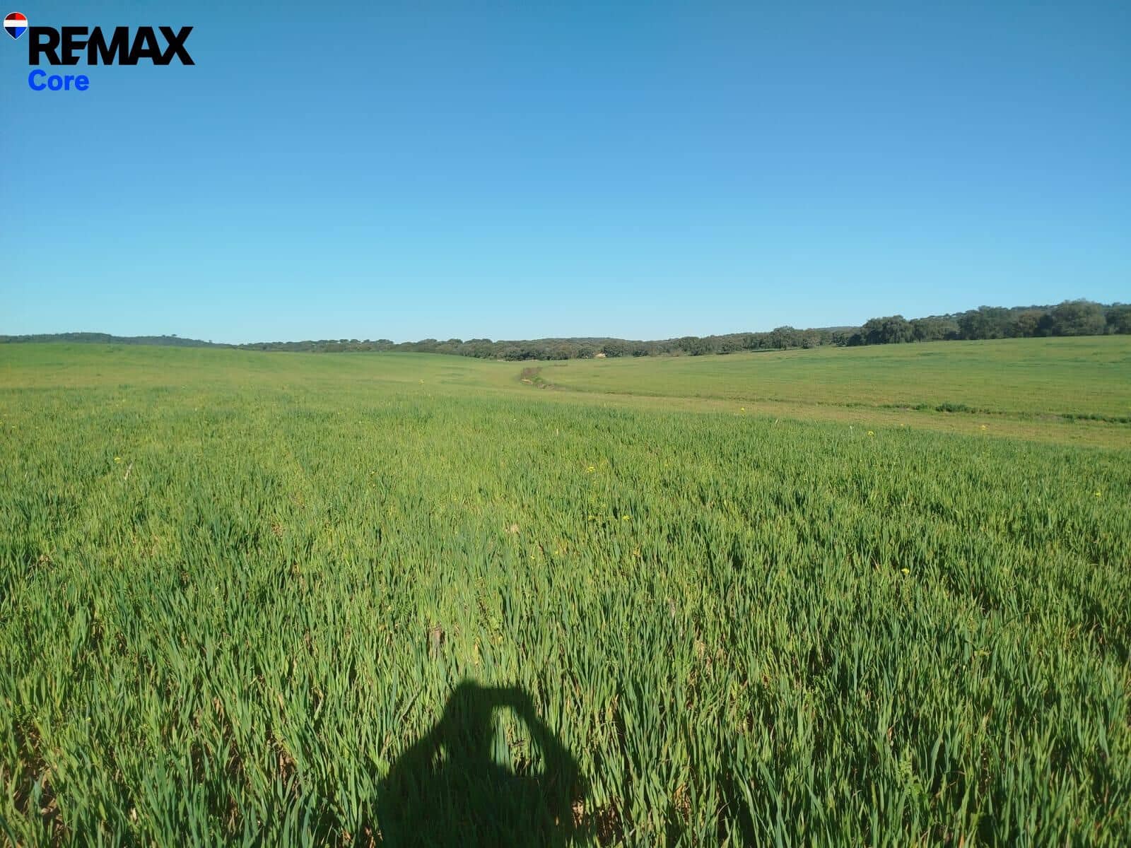 Mark till salu i Merida - 1 098 000 € (Ref: 9393931)