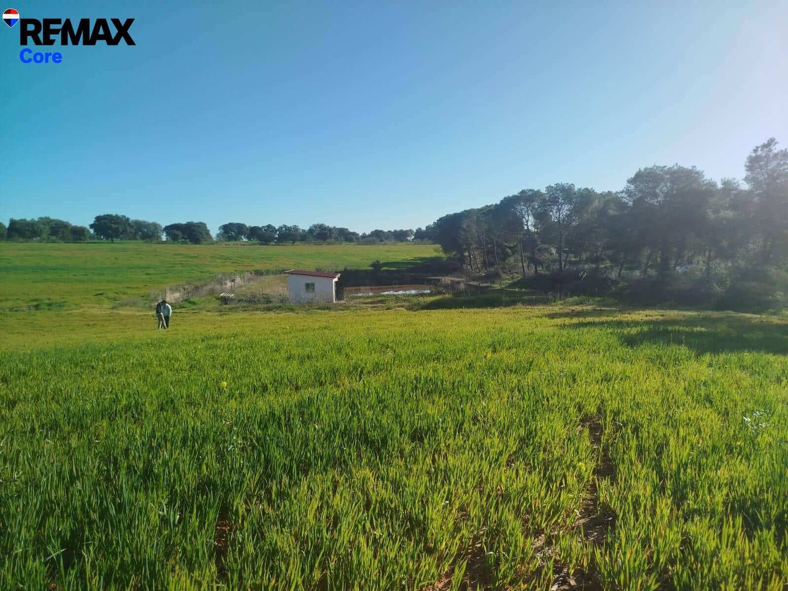 Mark till salu i Merida - 1 098 000 € (Ref: 9393931)