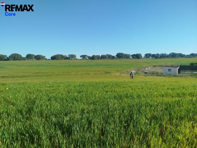 Ubebygd land til salgs i Mérida - € 1 098 000 (Ref: 9393931)