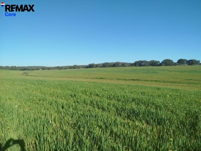 Ubebygd land til salgs i Mérida - € 1 098 000 (Ref: 9393931)