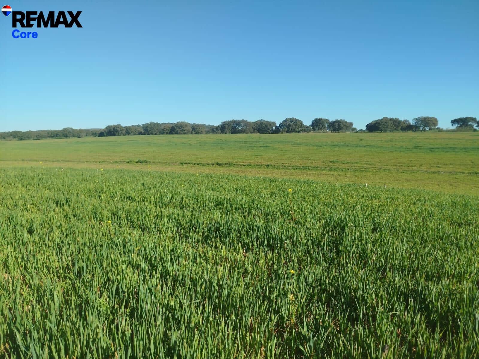 Mark till salu i Merida - 1 098 000 € (Ref: 9393931)