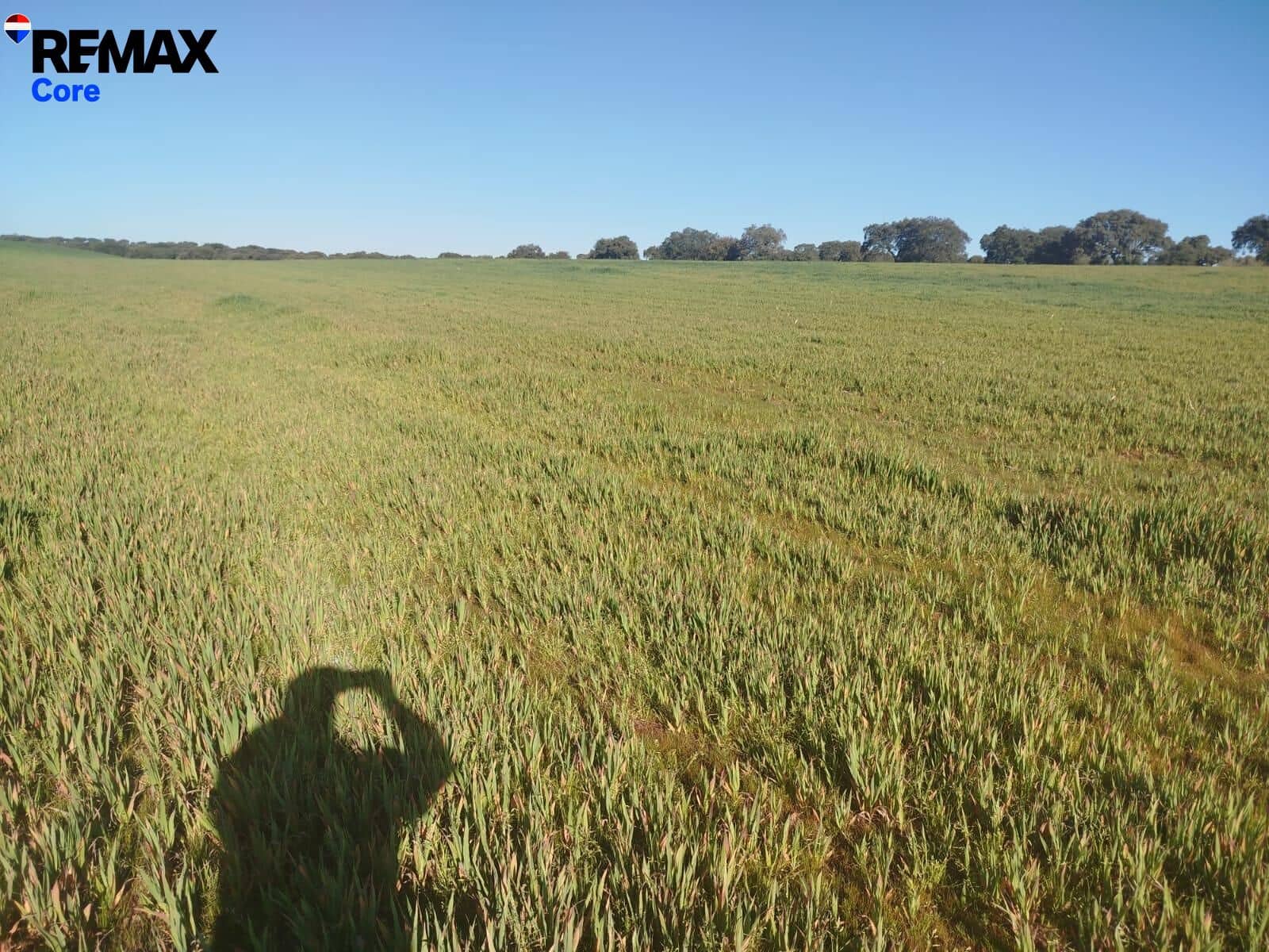 Mark till salu i Merida - 1 098 000 € (Ref: 9393931)