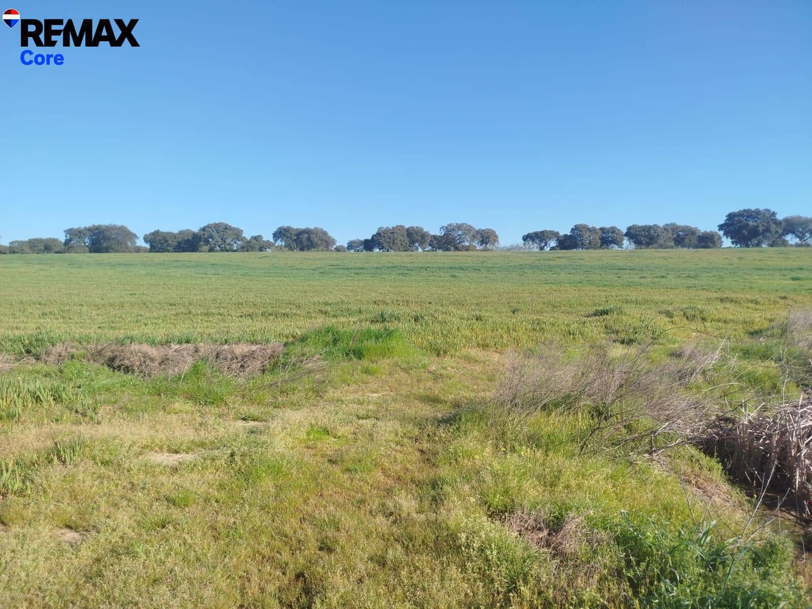 Mark till salu i Merida - 1 098 000 € (Ref: 9393931)