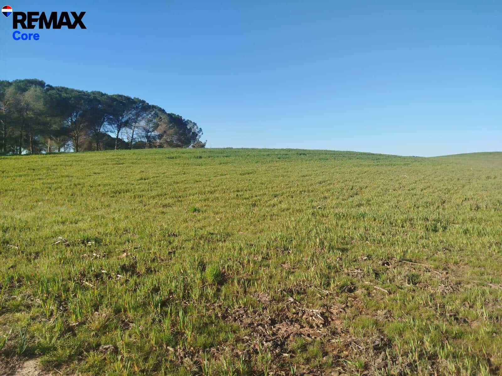 Mark till salu i Merida - 1 098 000 € (Ref: 9393931)