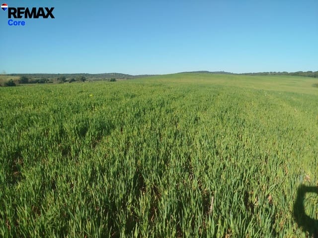 Ubebygd land til salgs i Mérida - € 1 098 000 (Ref: 9393931)