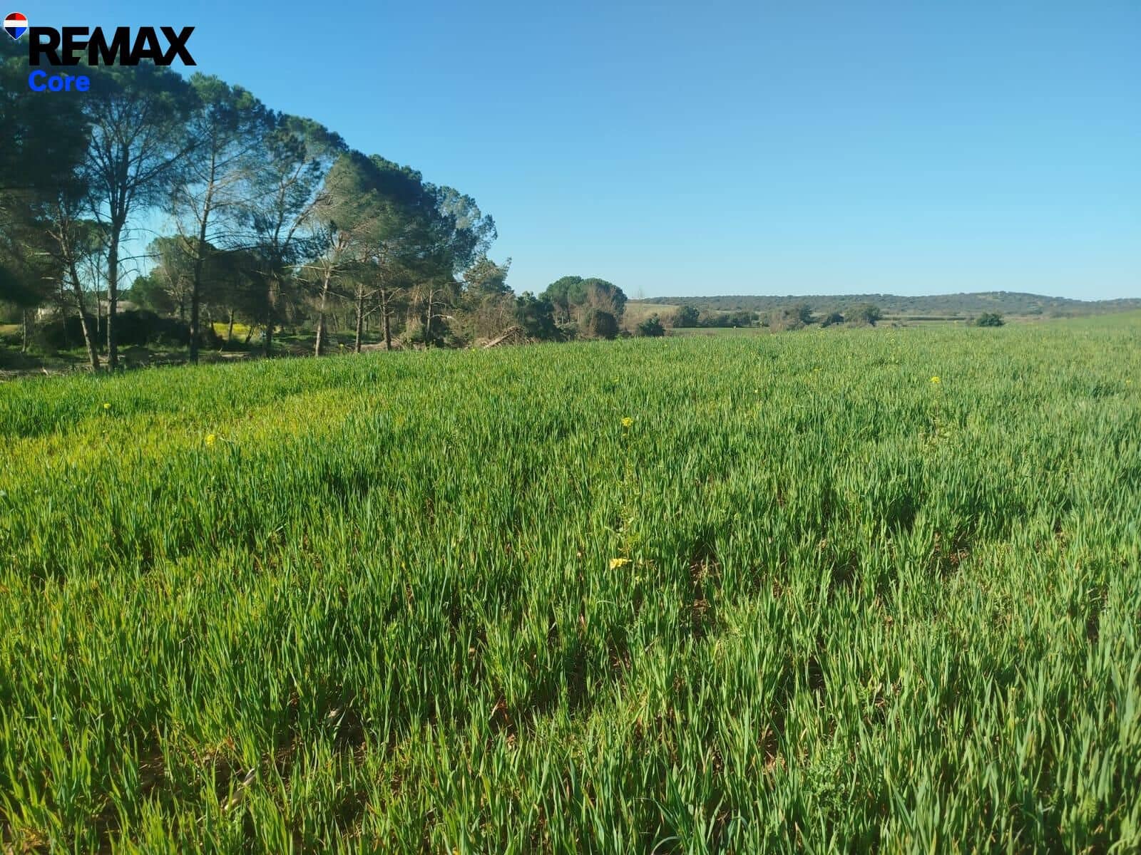 Mark till salu i Merida - 1 098 000 € (Ref: 9393931)