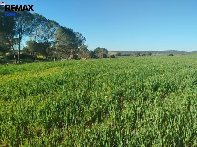 Ubebygd land til salgs i Mérida - € 1 098 000 (Ref: 9393931)