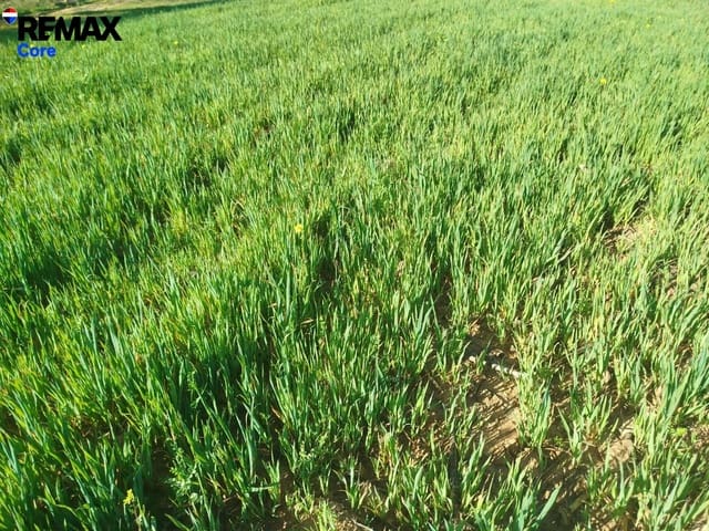 Ubebygd land til salgs i Mérida - € 1 098 000 (Ref: 9393931)