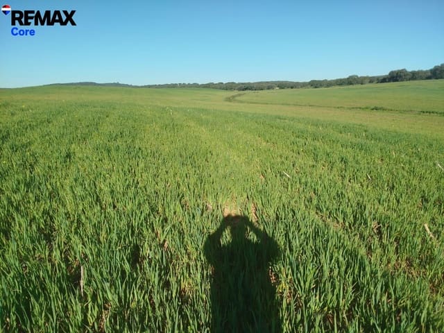 Ubebygd land til salgs i Mérida - € 1 098 000 (Ref: 9393931)