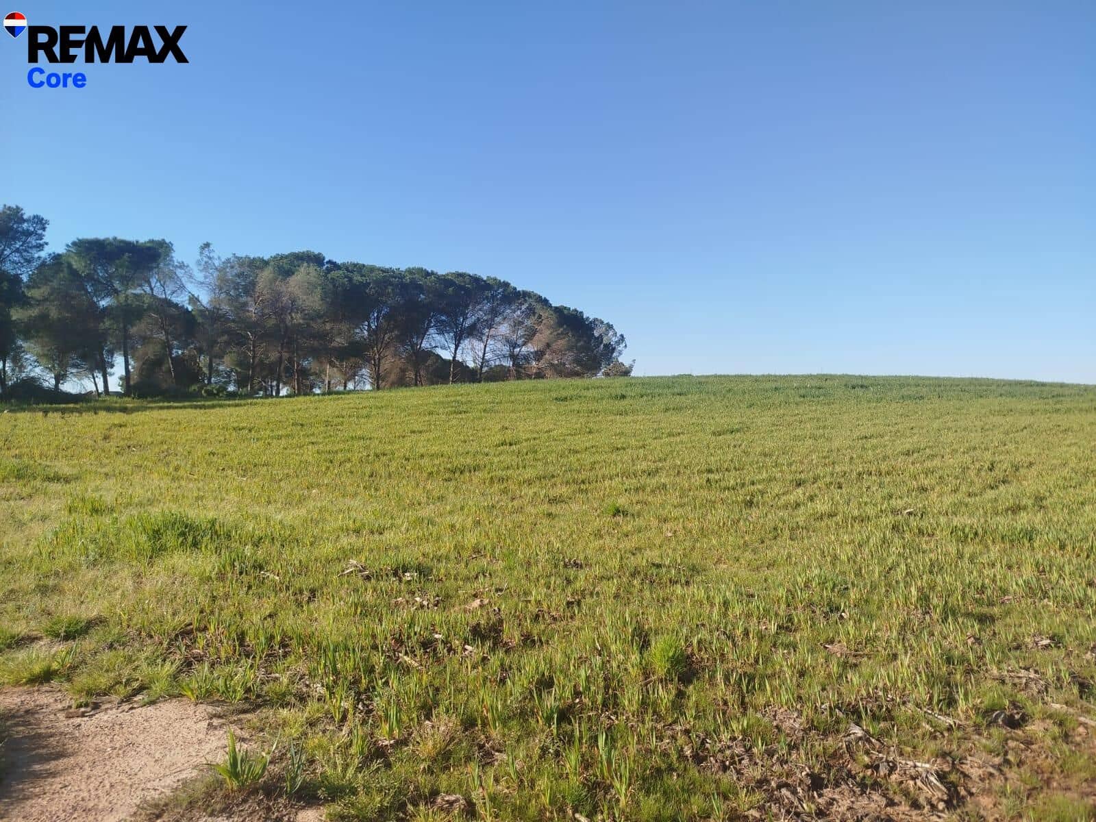 Mark till salu i Merida - 1 098 000 € (Ref: 9393931)