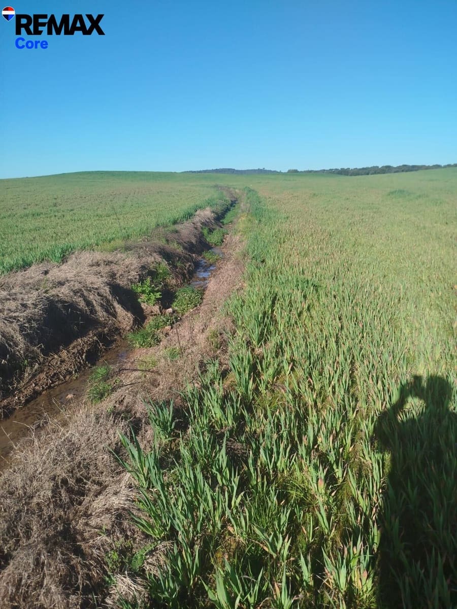 Mark till salu i Merida - 1 098 000 € (Ref: 9393931)