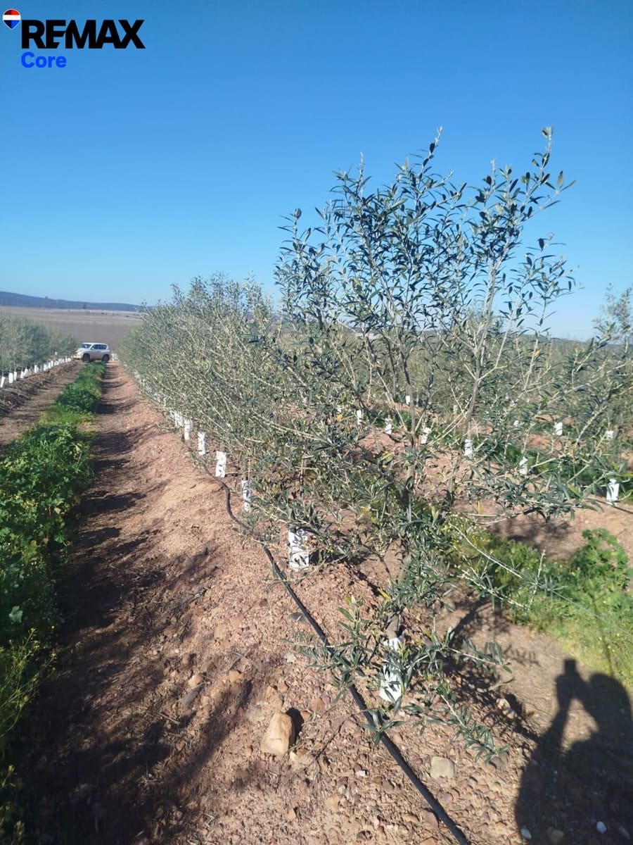 Mark till salu i Merida - 1 098 000 € (Ref: 9393931)