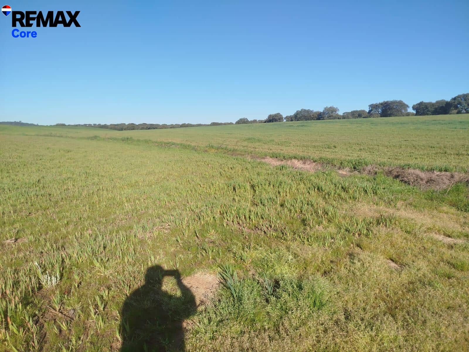 Mark till salu i Merida - 1 098 000 € (Ref: 9393931)