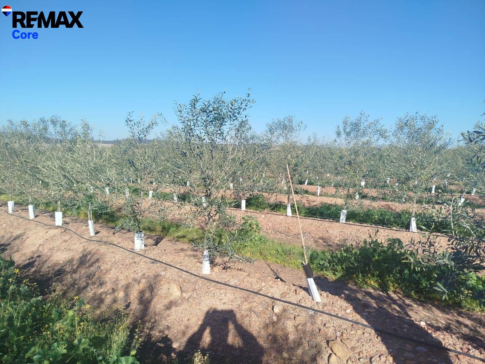 Mark till salu i Merida - 1 098 000 € (Ref: 9393931)