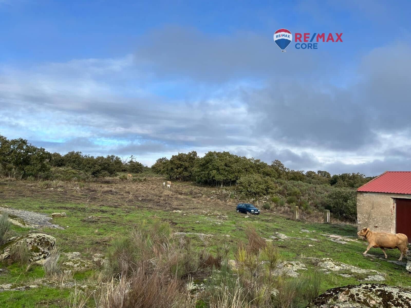 Ubebygd land til salgs i Valencia de Alcantara - € 192 000 (Ref: 9401047)