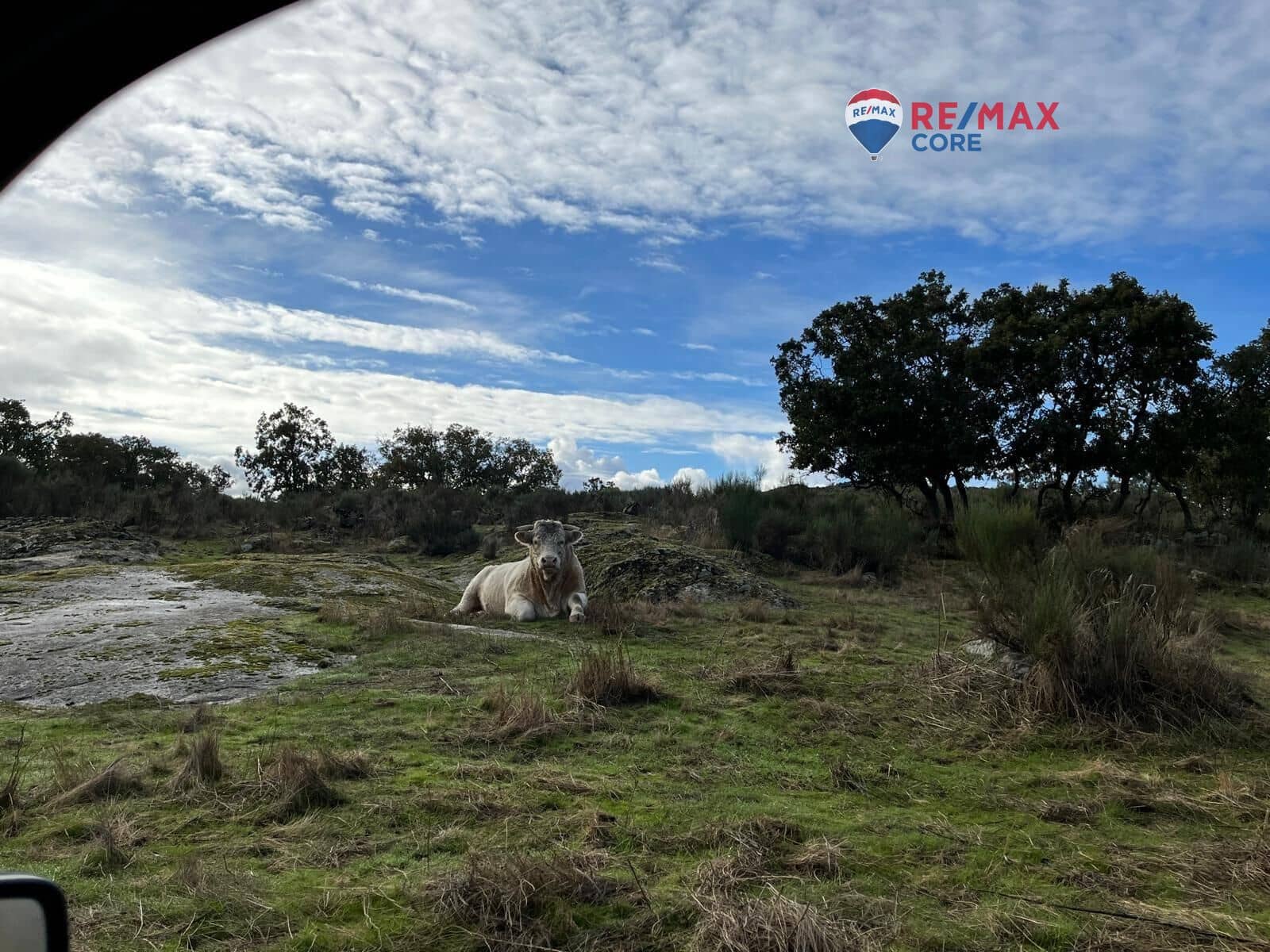 Ubebygd land til salgs i Valencia de Alcantara - € 192 000 (Ref: 9401047)