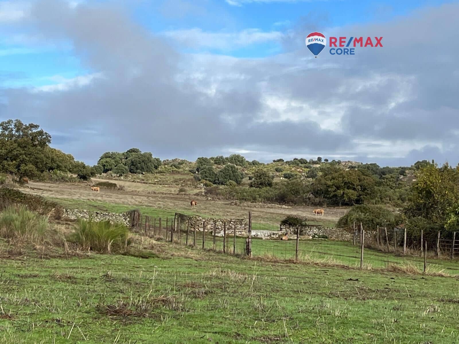 Ubebygd land til salgs i Valencia de Alcantara - € 192 000 (Ref: 9401047)